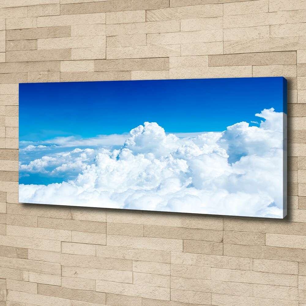 Canvas wall art Bird's flight clouds