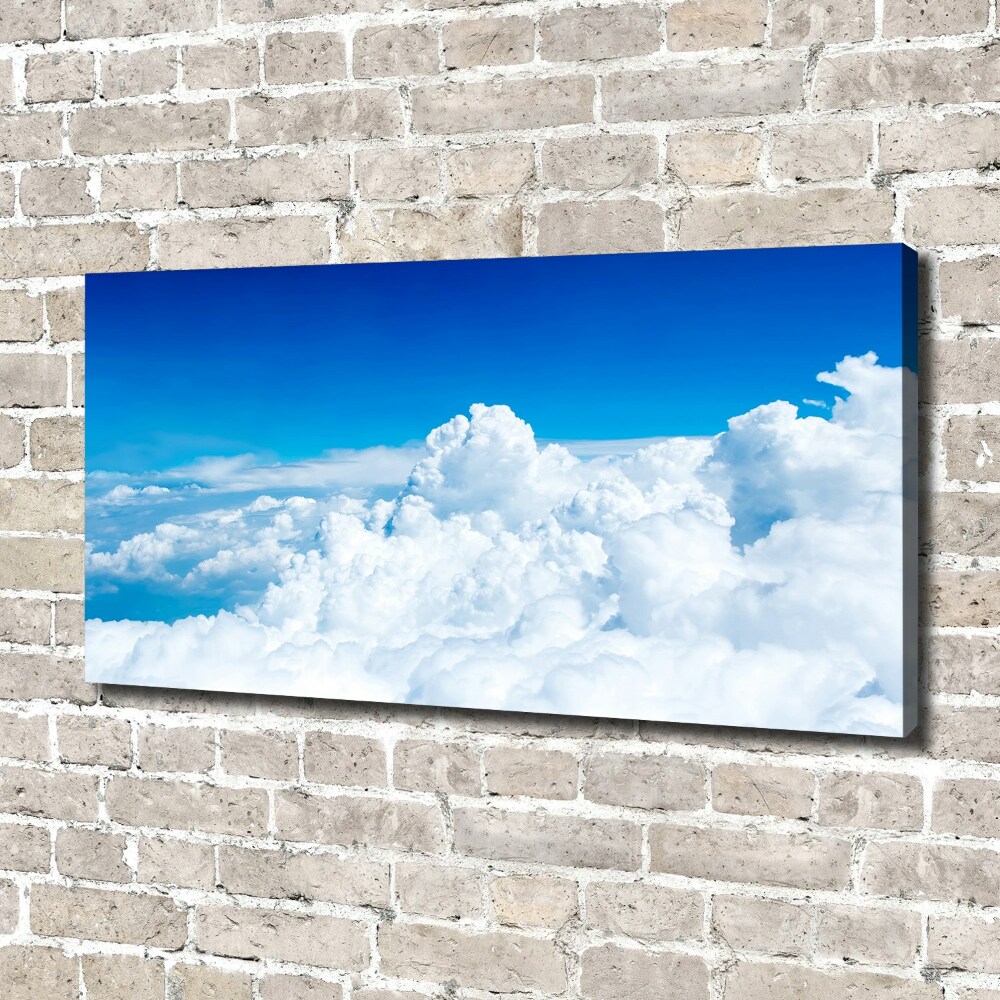 Canvas wall art Bird's flight clouds