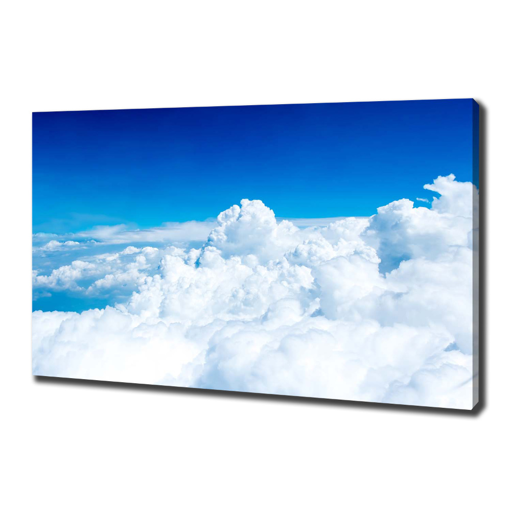 Canvas wall art Bird's flight clouds