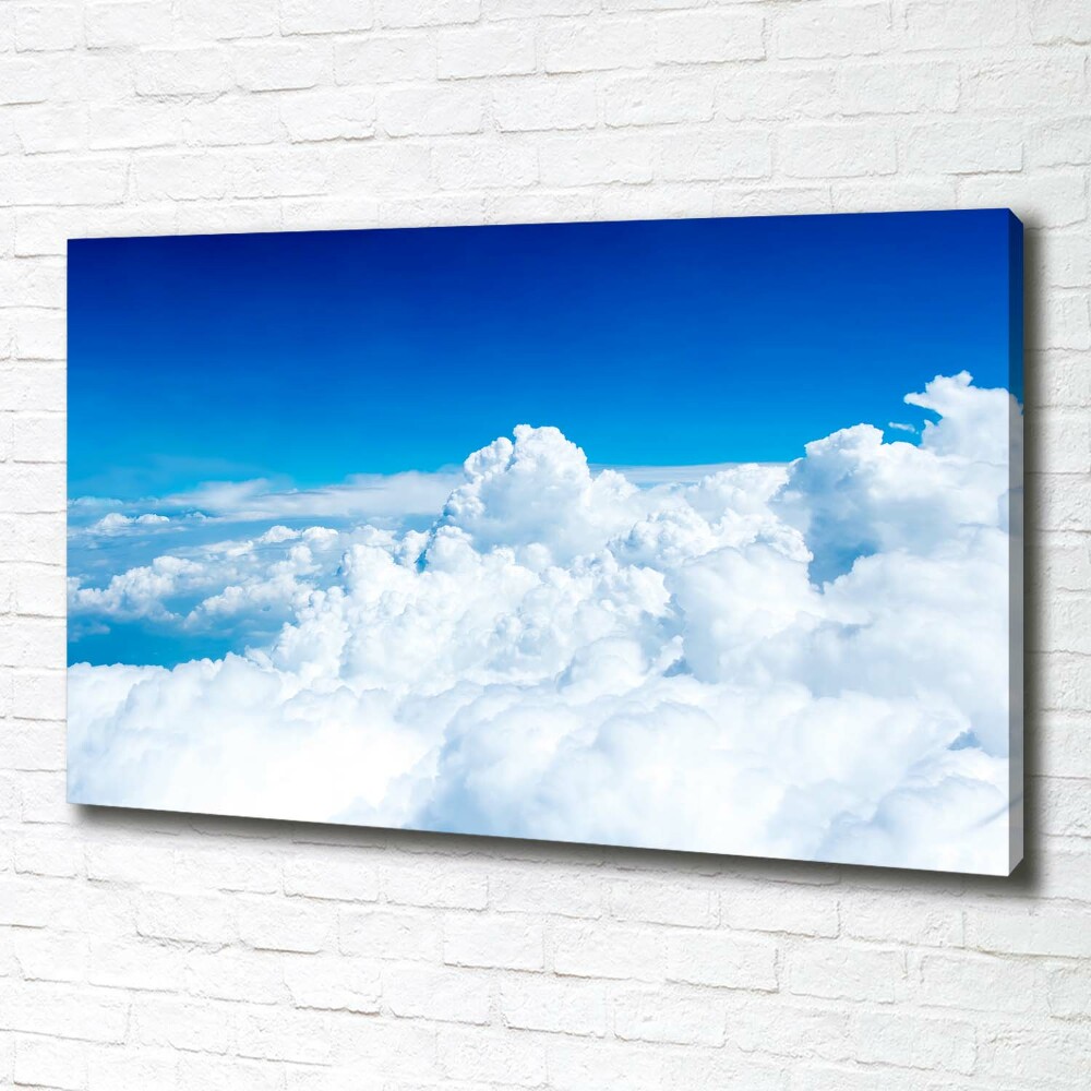 Canvas wall art Bird's flight clouds