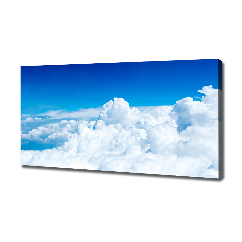 Canvas wall art Bird's flight clouds