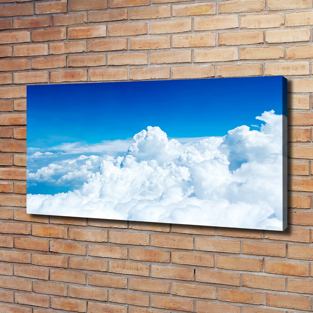 Canvas wall art Bird's flight clouds