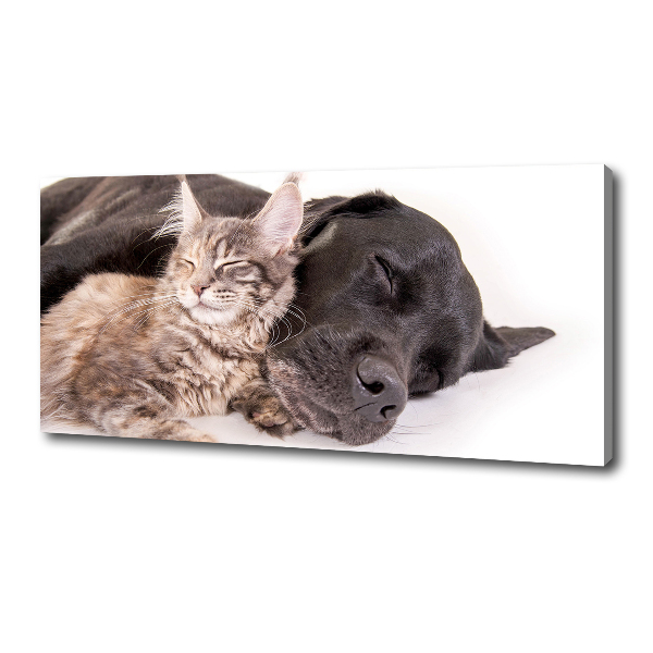 Canvas wall art Dog with a cat