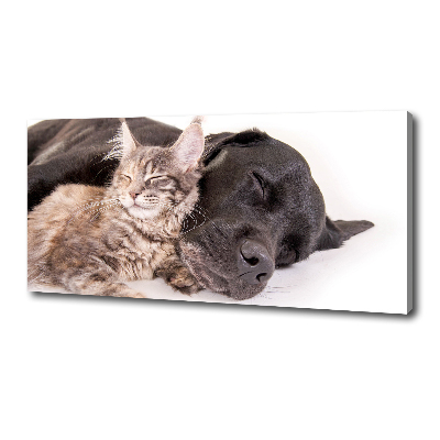 Canvas wall art Dog with a cat