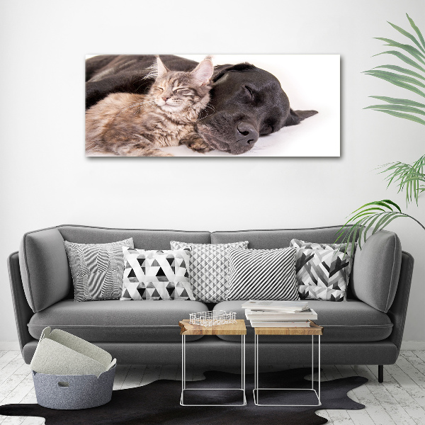 Canvas wall art Dog with a cat