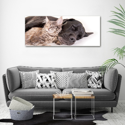 Canvas wall art Dog with a cat