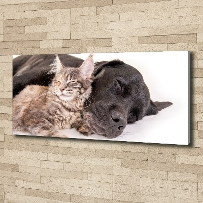 Canvas wall art Dog with a cat