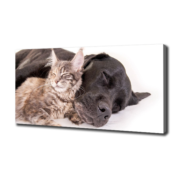 Canvas wall art Dog with a cat