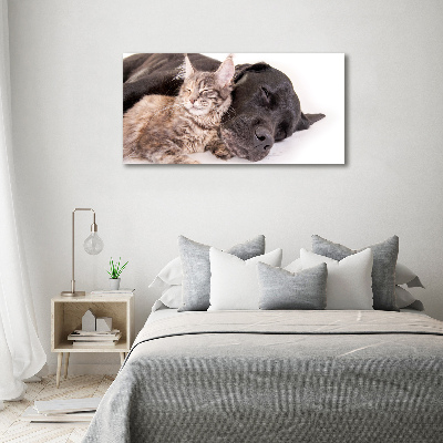 Canvas wall art Dog with a cat