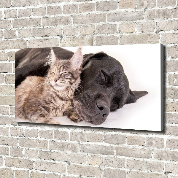 Canvas wall art Dog with a cat