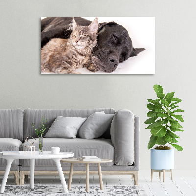 Canvas wall art Dog with a cat