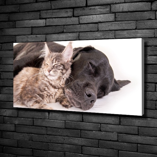 Canvas wall art Dog with a cat