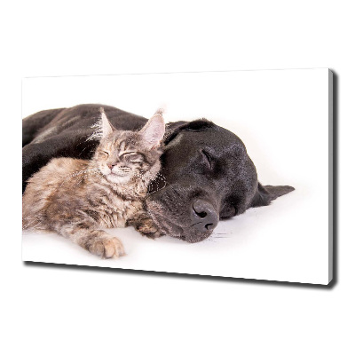 Canvas wall art Dog with a cat