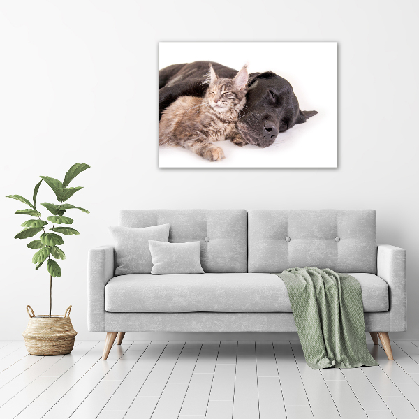 Canvas wall art Dog with a cat