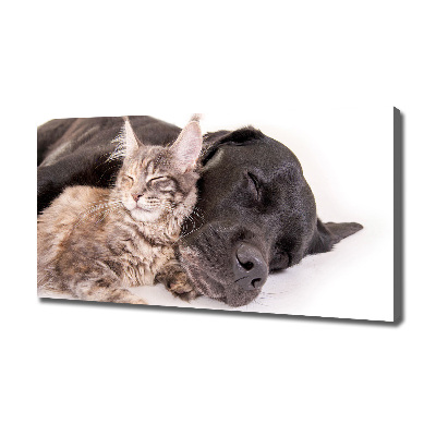 Canvas wall art Dog with a cat