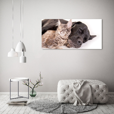 Canvas wall art Dog with a cat