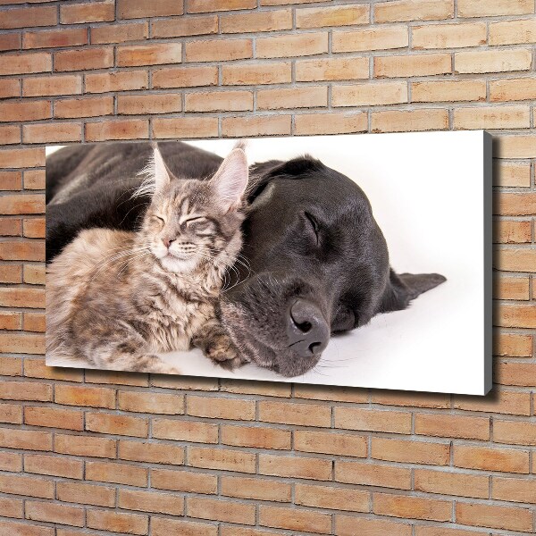 Canvas wall art Dog with a cat