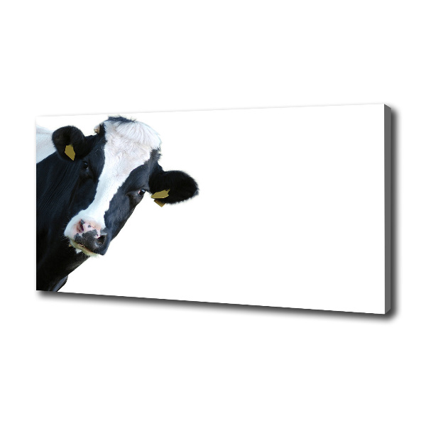 Canvas wall art Cow