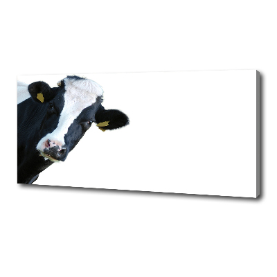 Canvas wall art Cow