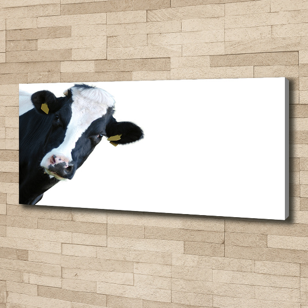 Canvas wall art Cow