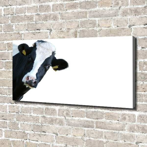 Canvas wall art Cow