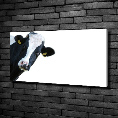 Canvas wall art Cow