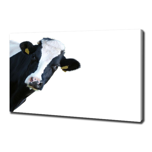 Canvas wall art Cow