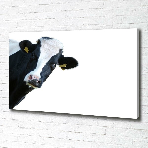 Canvas wall art Cow