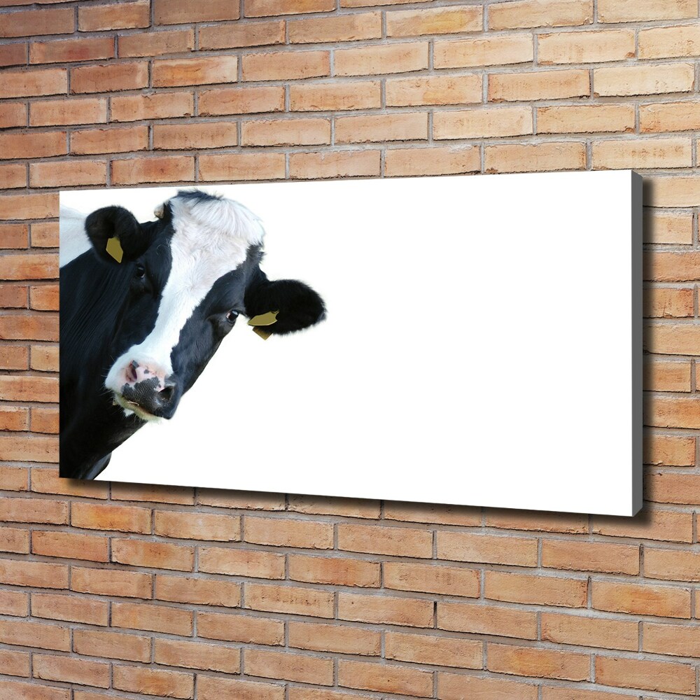 Canvas wall art Cow