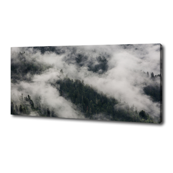 Canvas wall art Fog over the forest