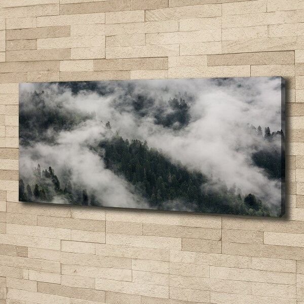 Canvas wall art Fog over the forest