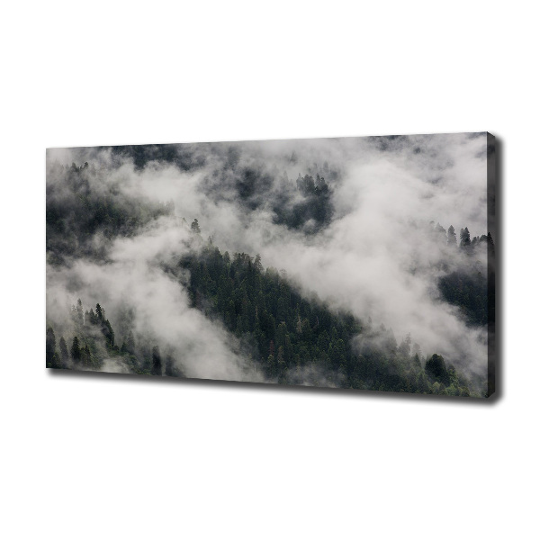 Canvas wall art Fog over the forest