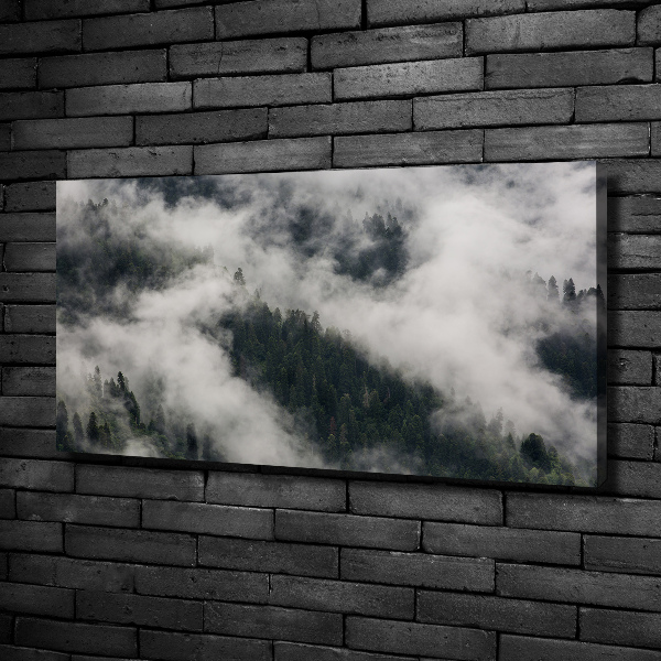 Canvas wall art Fog over the forest