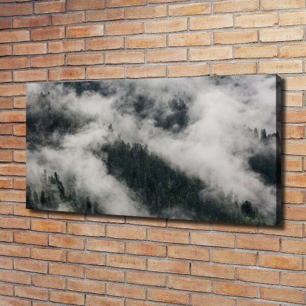 Canvas wall art Fog over the forest