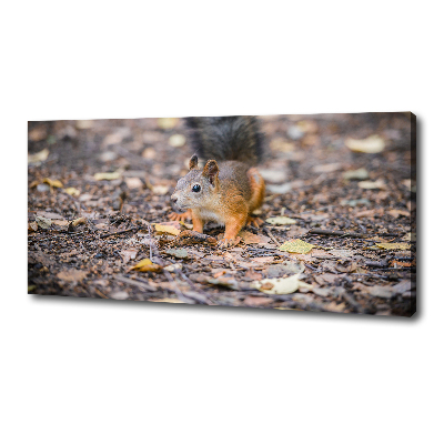 Canvas wall art Squirrel