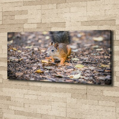 Canvas wall art Squirrel