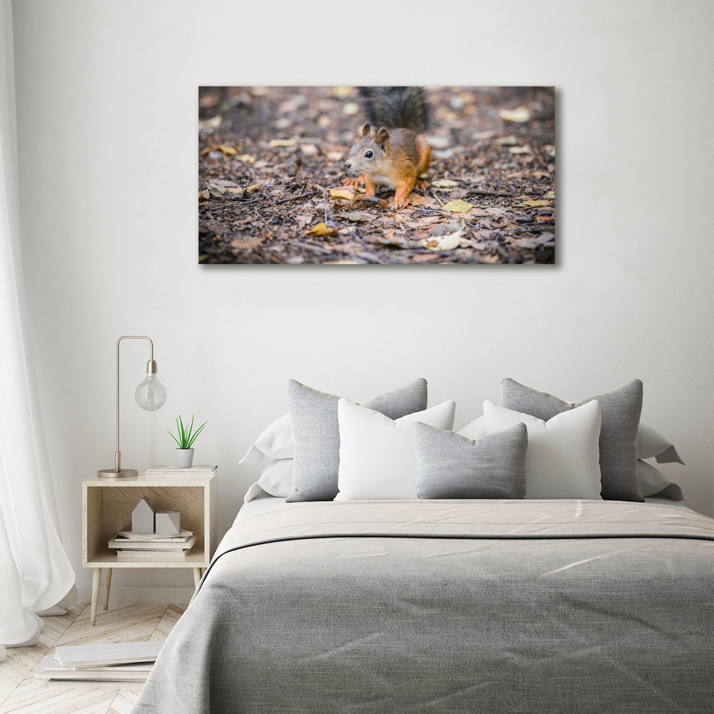 Canvas wall art Squirrel