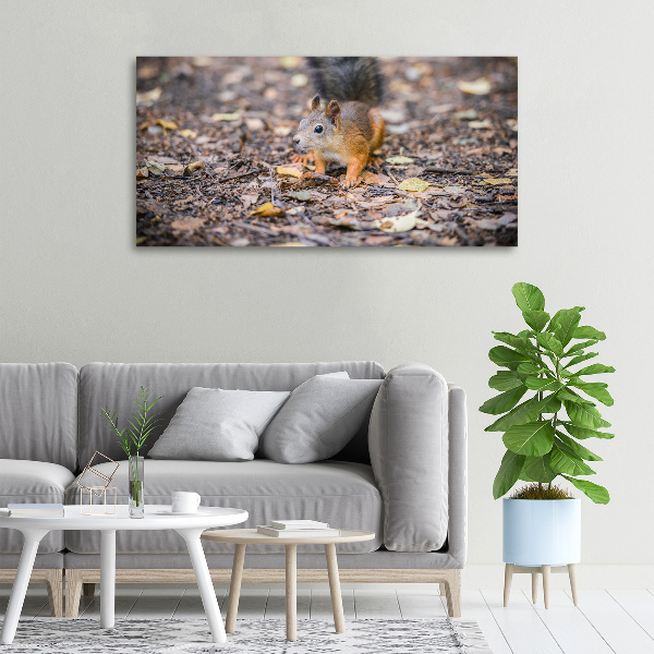 Canvas wall art Squirrel