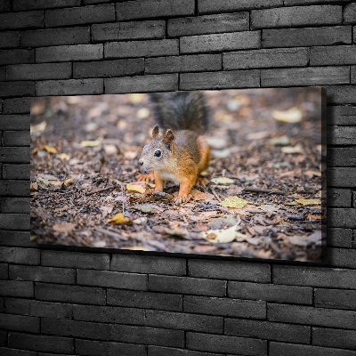 Canvas wall art Squirrel