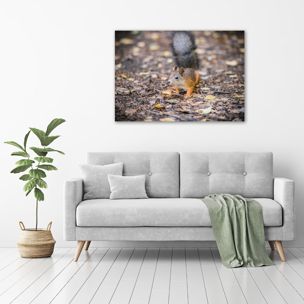 Canvas wall art Squirrel