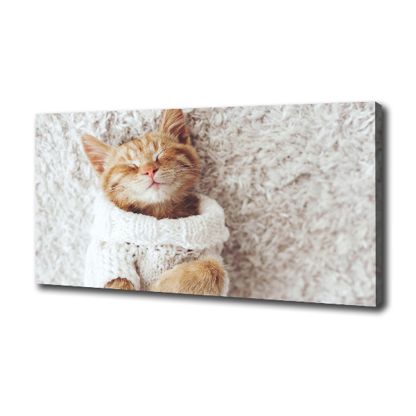 Canvas wall art A kitten in a sweater