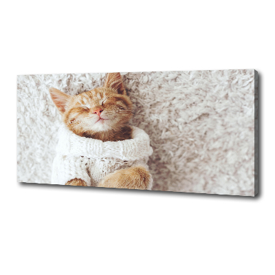 Canvas wall art A kitten in a sweater