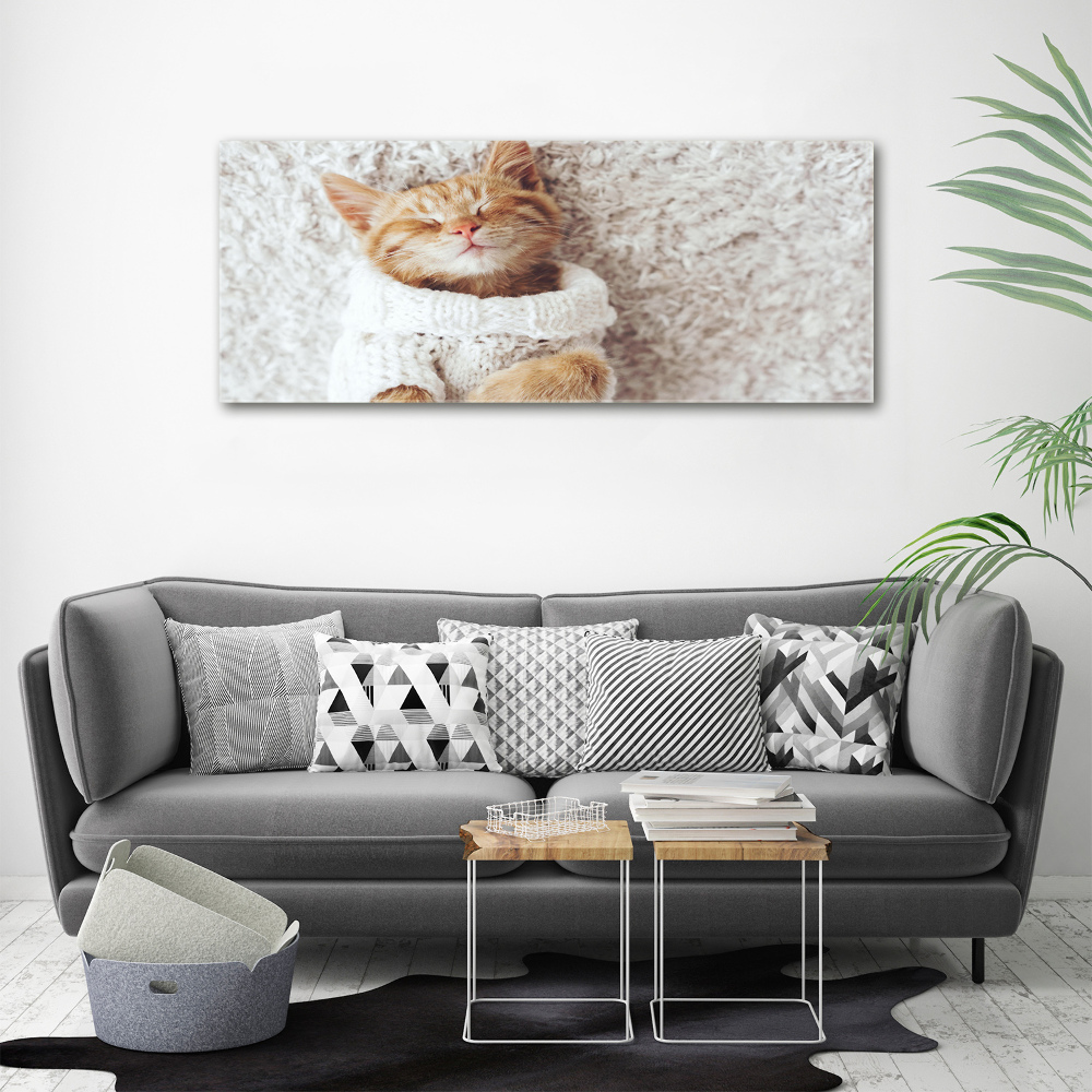 Canvas wall art A kitten in a sweater