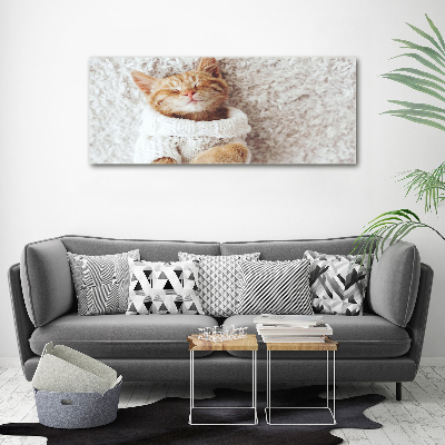 Canvas wall art A kitten in a sweater