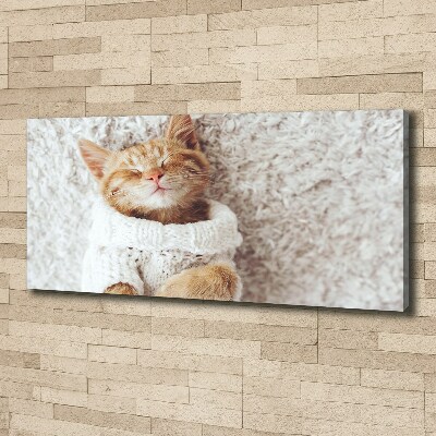 Canvas wall art A kitten in a sweater