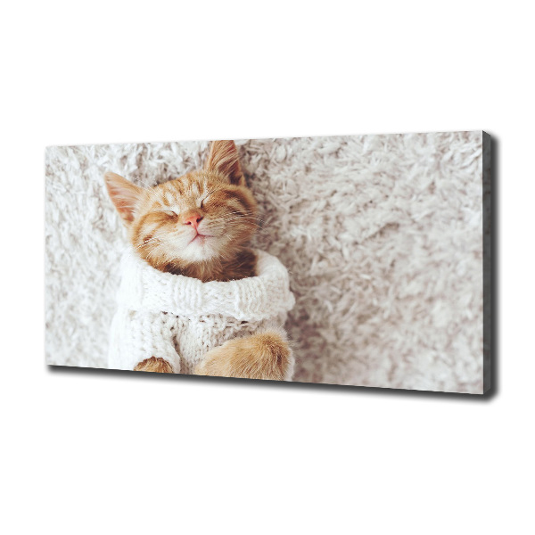 Canvas wall art A kitten in a sweater