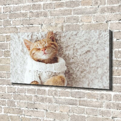 Canvas wall art A kitten in a sweater