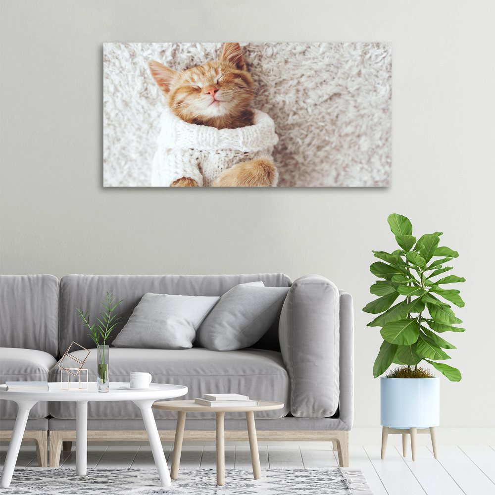 Canvas wall art A kitten in a sweater