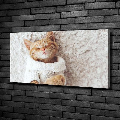 Canvas wall art A kitten in a sweater