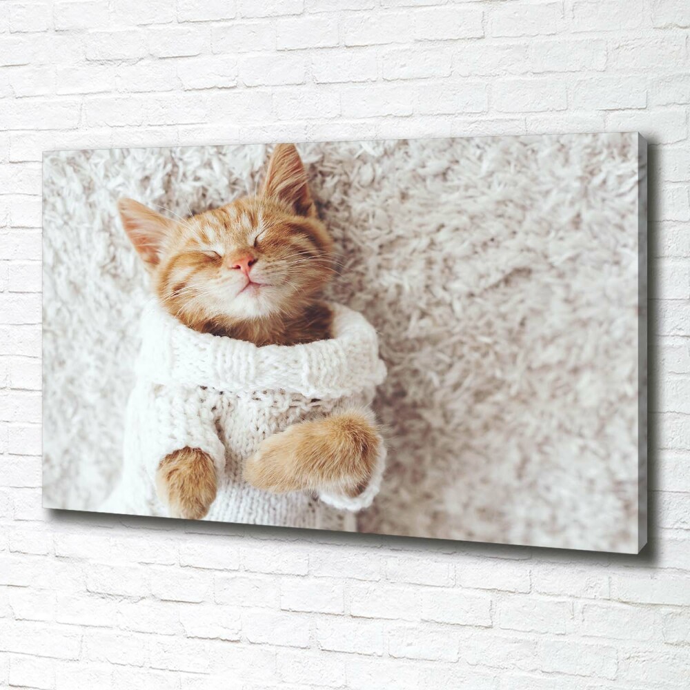 Canvas wall art A kitten in a sweater